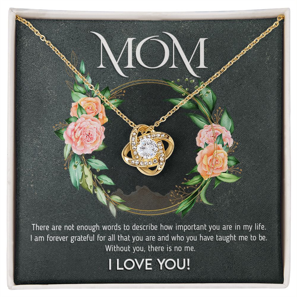Mom - I am Forever Grateful