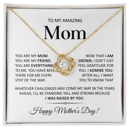 To My Amazing Mom - I Admire You