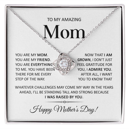 To My Amazing Mom - I Admire You