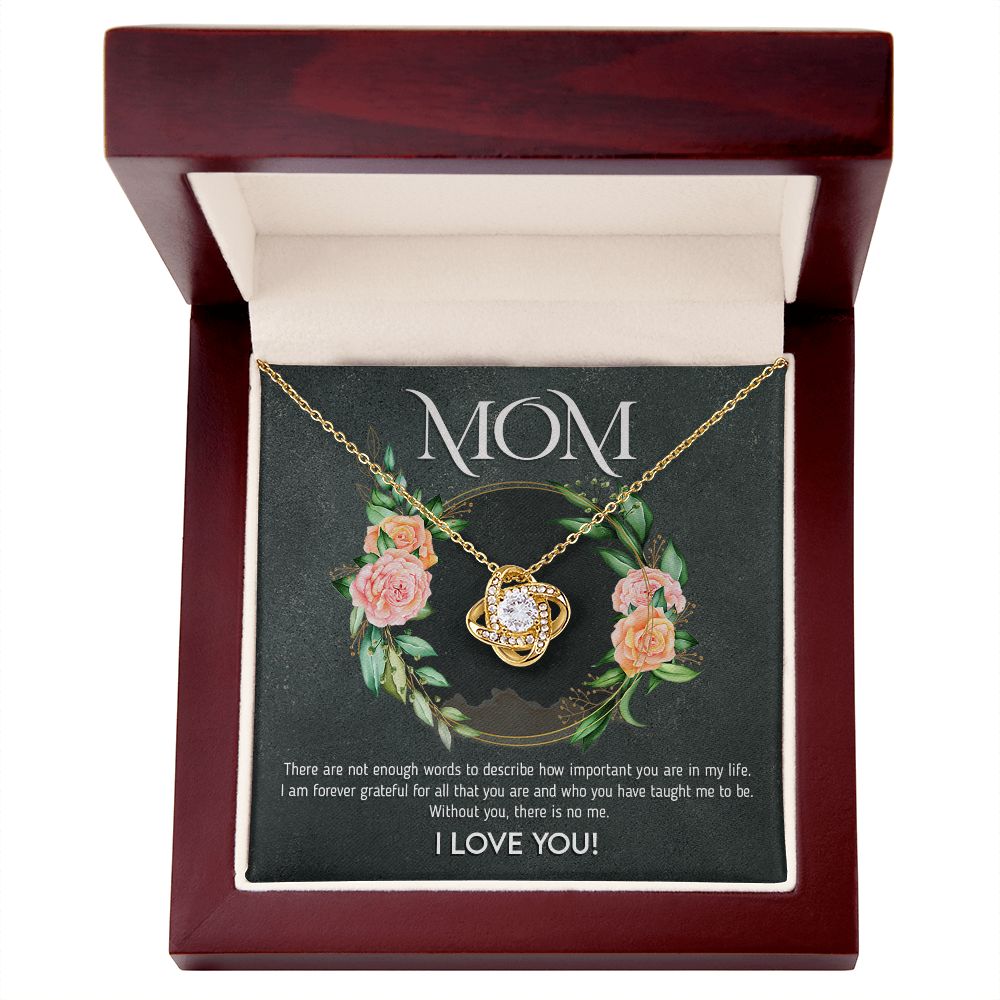 Mom - I am Forever Grateful
