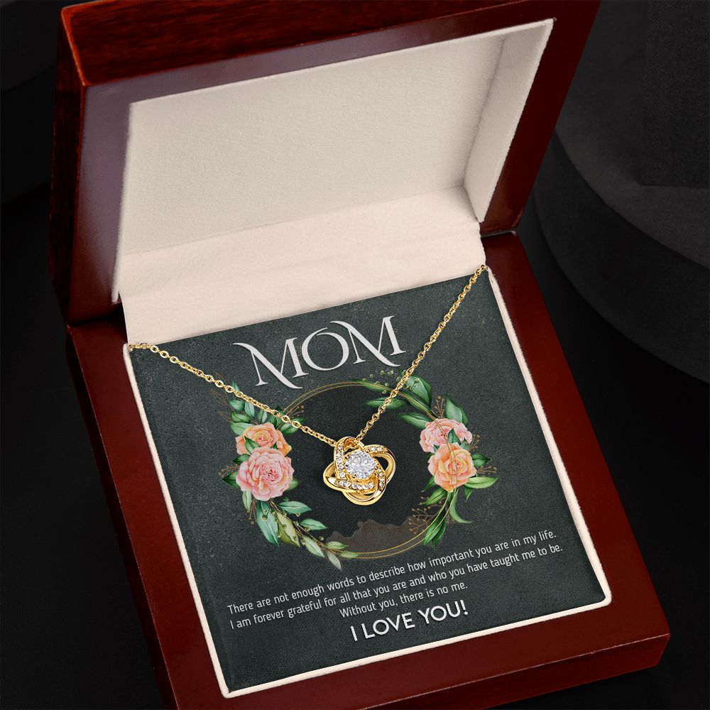 Mom - I am Forever Grateful