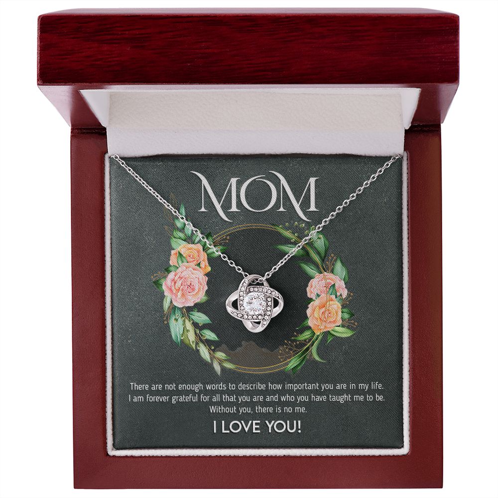 Mom - I am Forever Grateful