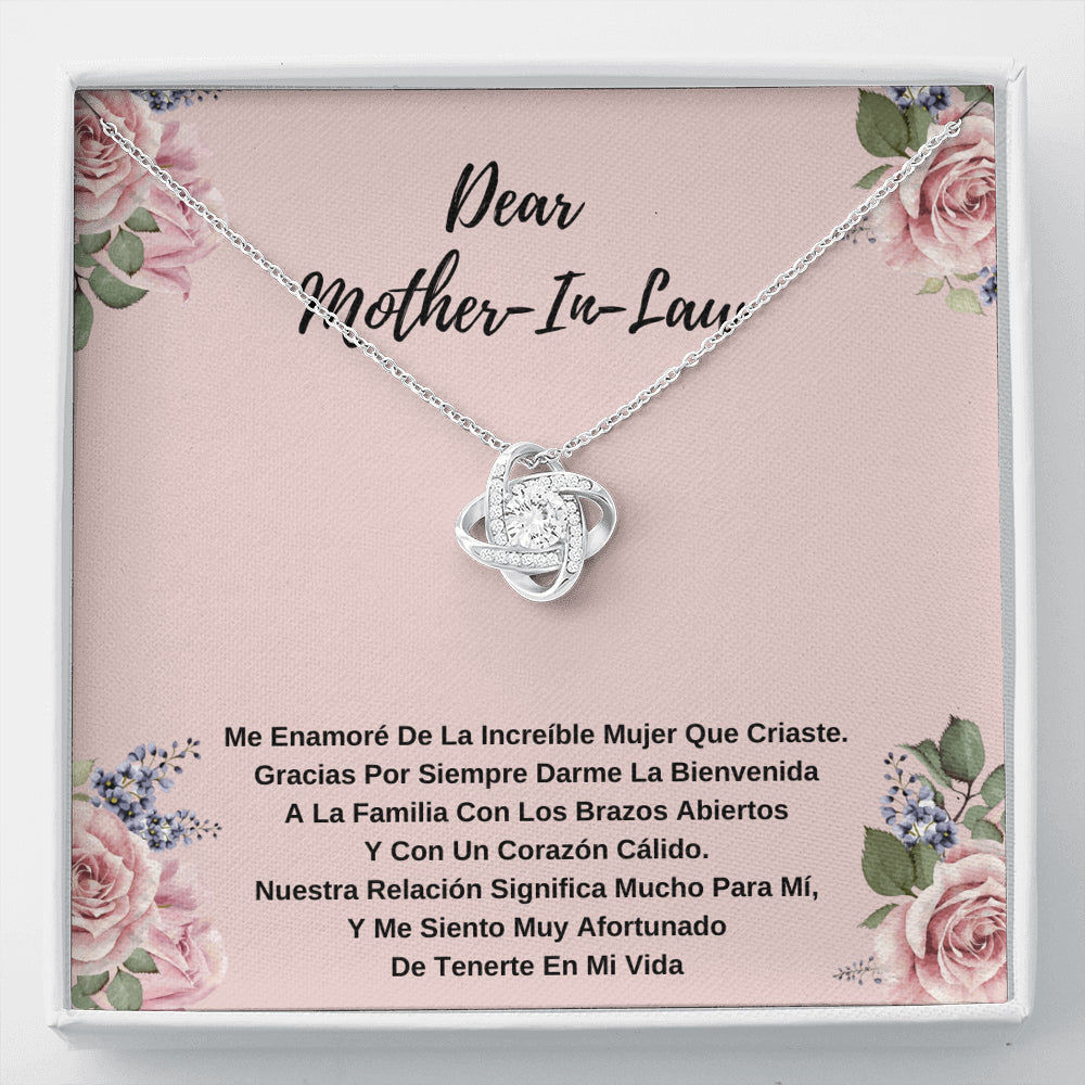 Dear Mother-In-Law -  Me Siento Afortunado De Tenerla