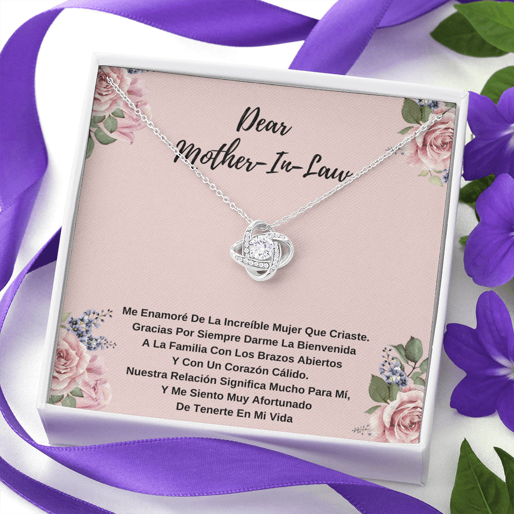 Dear Mother-In-Law -  Me Siento Afortunado De Tenerla